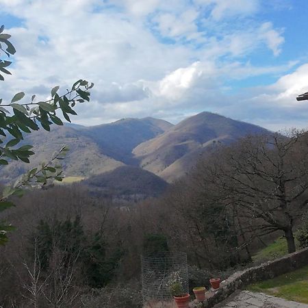 Country Residence Turicchi Londa Esterno foto