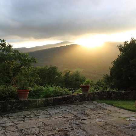 Country Residence Turicchi Londa Esterno foto